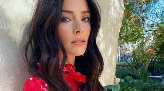 abigail spencer dana scott uit suits