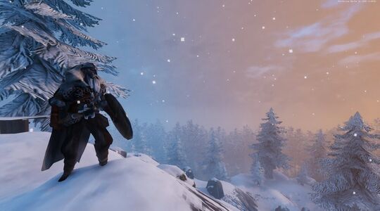 Wat is Valheim?
