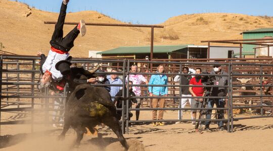 Jackass Forever