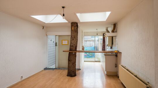 huis met boom