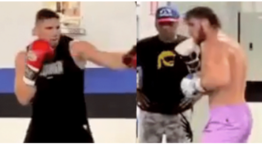 Rico Verhoeven Logan Paul