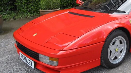 Ferrari Nick Masonv
