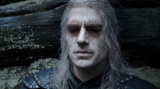 the witcher petitie