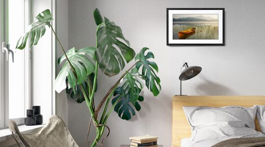 Meural Canvas II