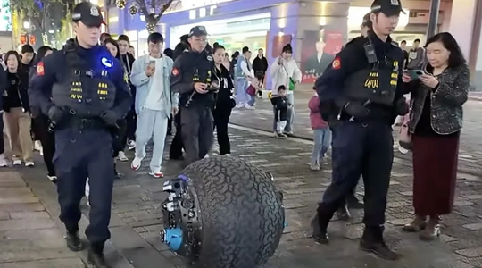 Robot politiebal