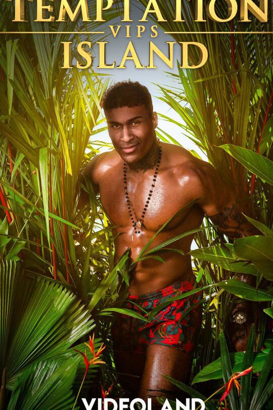 Temptation VIPS verleiders en verleidsters