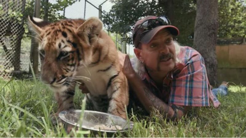 Tiger King 2