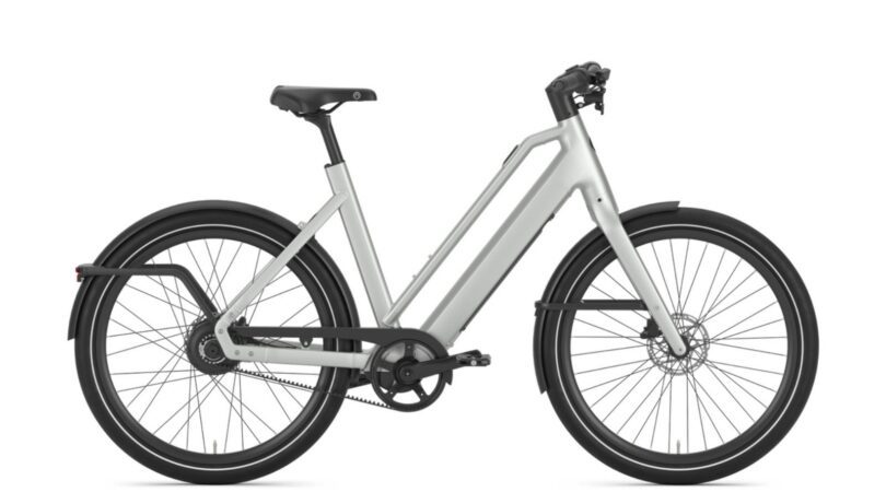 de Gazelle Cayo C310